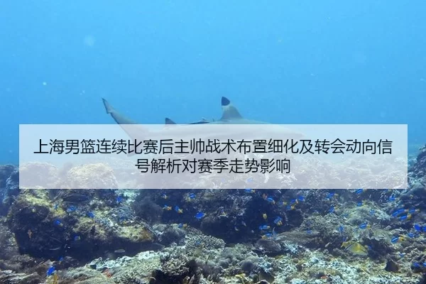 上海男篮连续比赛后主帅战术布置细化及转会动向信号解析对赛季走势影响