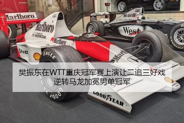 樊振东在WTT重庆冠军赛上演让二追三好戏 逆转马龙加冕男单冠军